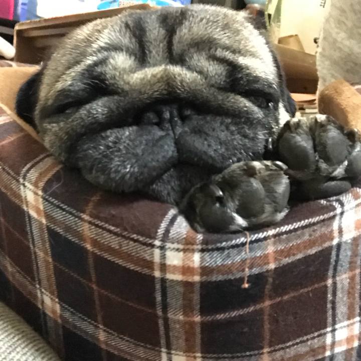 6cc53f43 16b4 4474 8016 930f6f3312ce 1519650684209