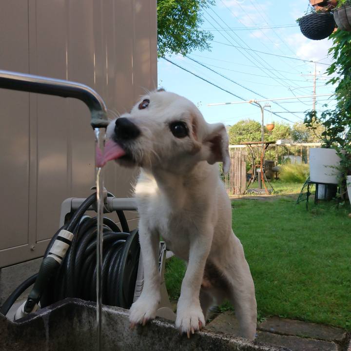 6cc5c722 1e57 4fae 9876 594e1ac753f9 1601684166691