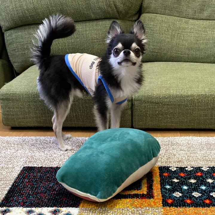 6cc60b49 f615 4980 a4d7 988cb2d3531b 1684683554794