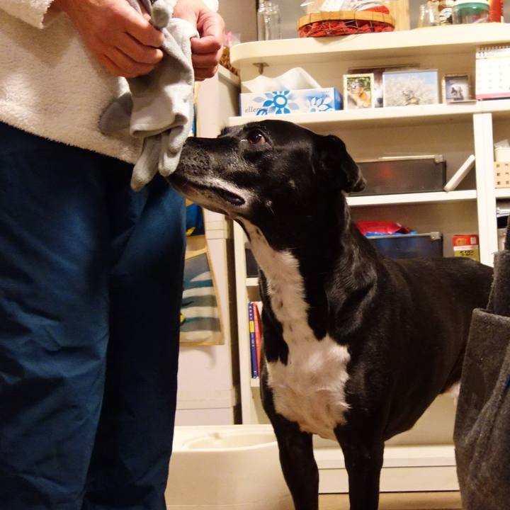 6cc63243 9da6 4139 afd9 721b0b6a90ea 1732878718866