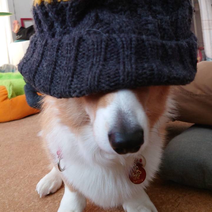 6cc63af5 8e0a 4b47 98e9 7ec31f295698 1764993181078