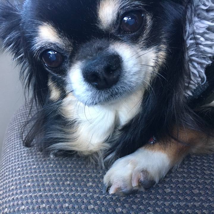 6cc679e6 dce3 4001 9003 cd8cf782b801 1537343970105