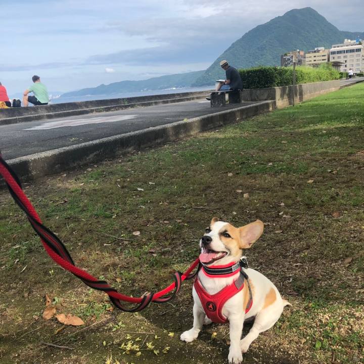 6cc67f4f bae7 4bbd a96d e2ba82ddf8b3 1559998710092