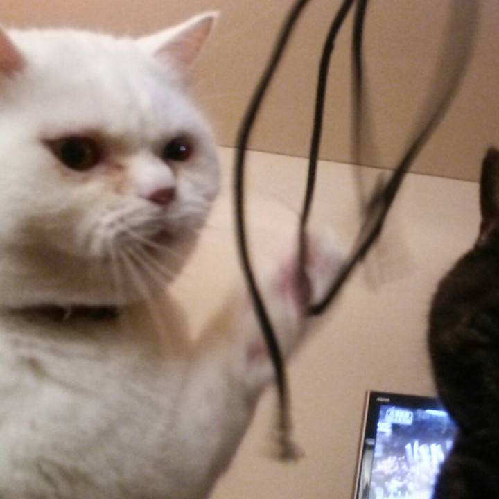 6cc6a9f5 5005 4905 a439 56c59ab64719 1515452910828