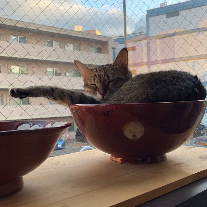 6cc6add2 2491 4551 a008 f65b62acf9df 1631957837024