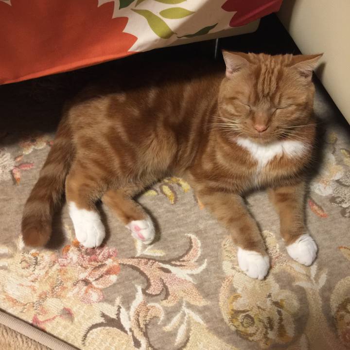 6cc6d9a9 3acc 49e3 8a78 acf21462b6cb 1546819275916