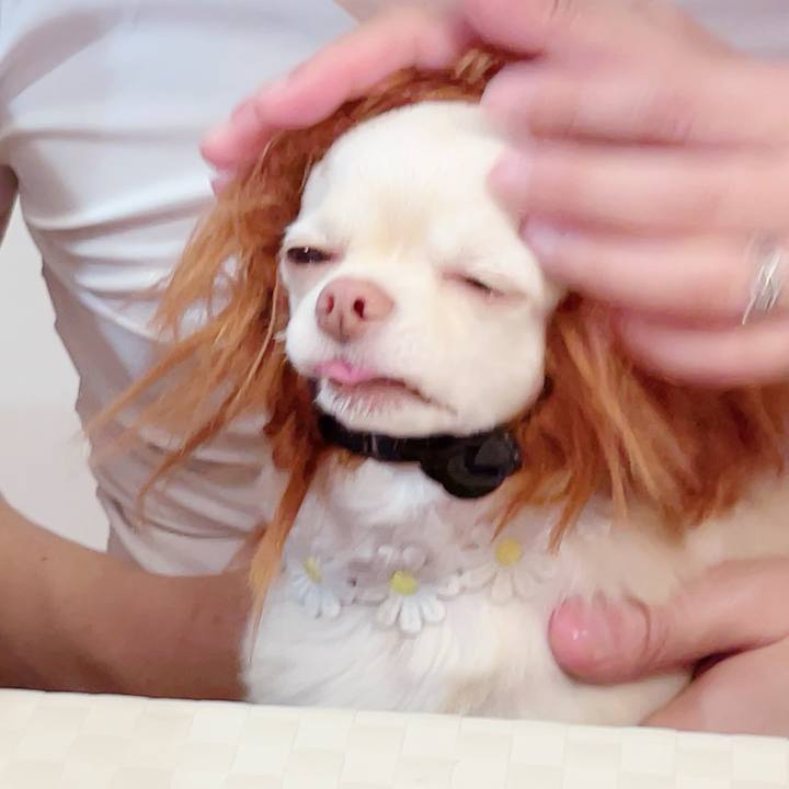 6cc6e681 f6f8 4f34 9842 d3d2bf4ce47e 1686546636602