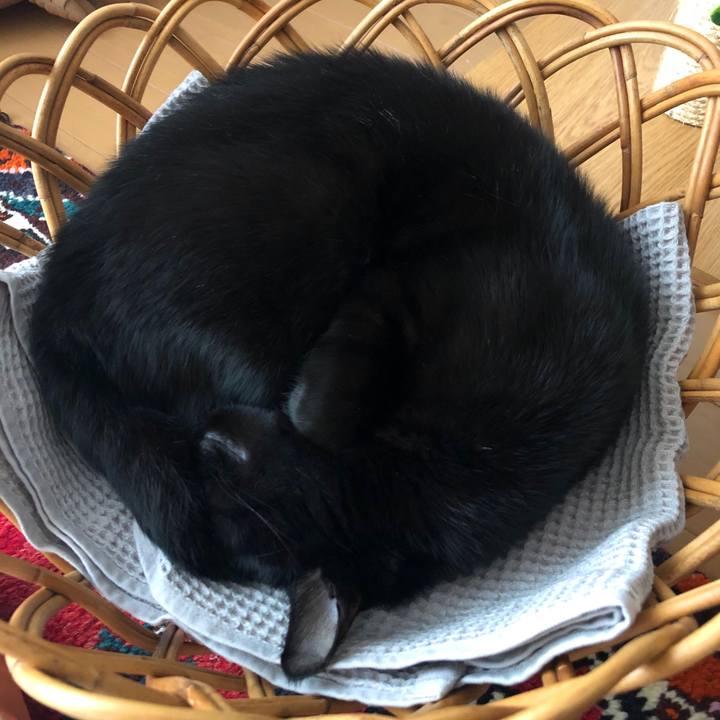 6cc6f0d5 75fb 40ec aca6 be32bf5206a3 1588898340419