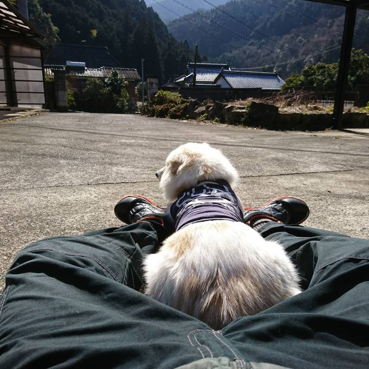 6cc6fccd 315b 49fc 9b1f b1d87ef97cd5 1549335792846