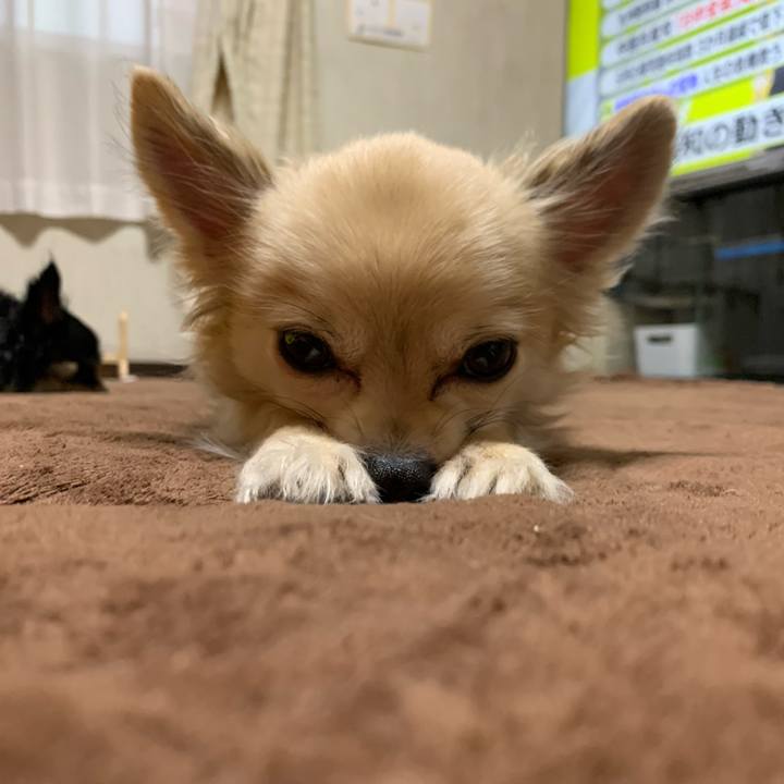 6cc72bd2 e648 4c3b 8a9b e158a8824d8c 1640939564746