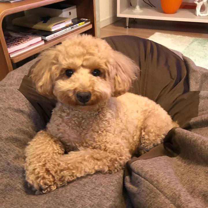 6cc736c7 8647 4235 860e 2ad80664a253 1524485833358