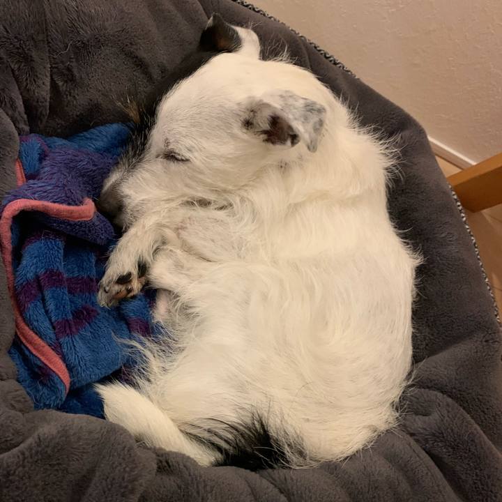 6cc78842 fab7 4375 9da5 9c9840362775 1651231278361