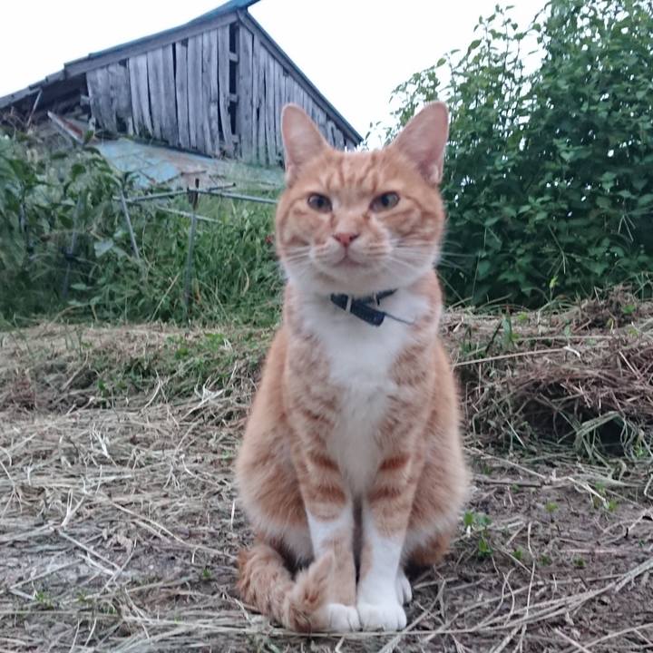 6cc79938 29bc 4701 bc39 48416e13b1c1 1600937887368