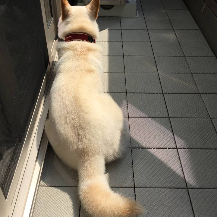 6cc7b2b2 367c 4815 96bc 790441d6ac49 1531792841895