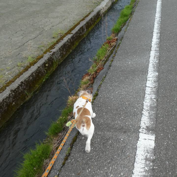 6cc7b91a e41c 43de aed5 5a90923ff488 1589282152437