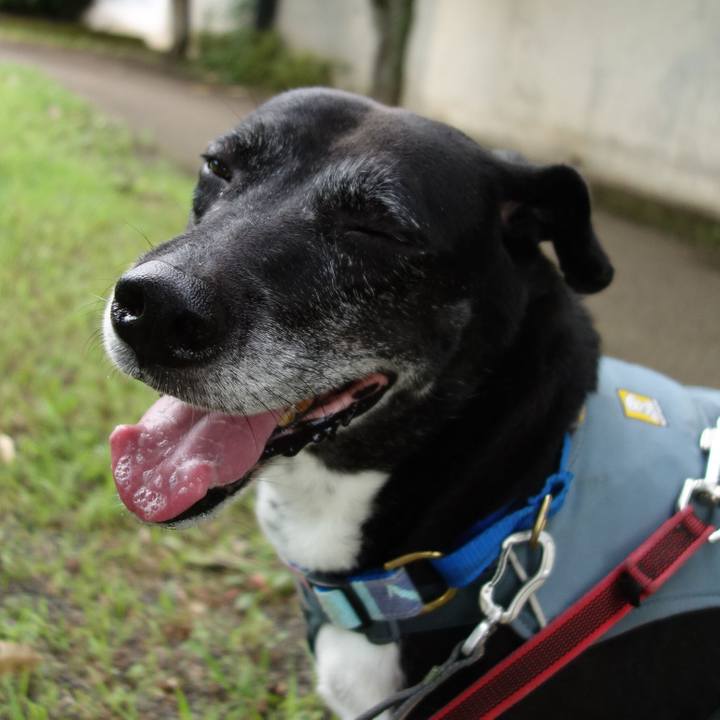 6cc7e65e c1e5 43d5 9d3c aa1154a067ad 1752621357830