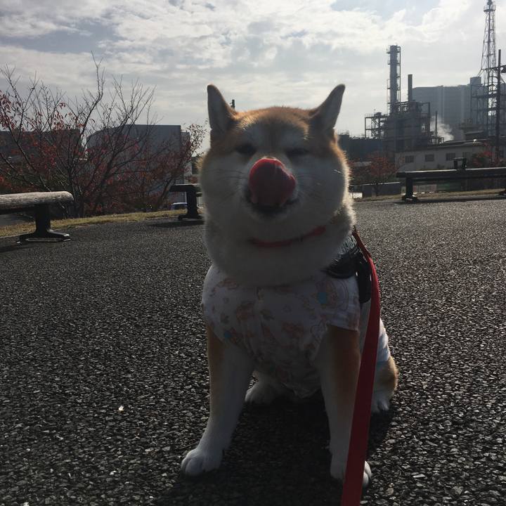 6cc7fc27 c8a1 4ae1 a224 1314db010d00 1574656812916