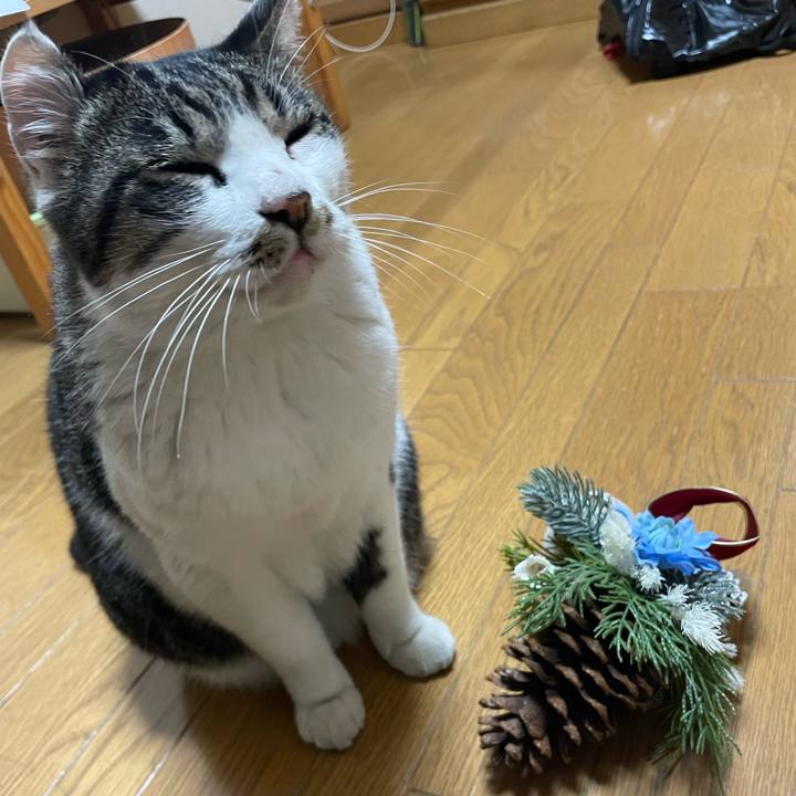 6cc804cd 4b7c 4904 b3c4 c18975d7fc7b 1668947522780