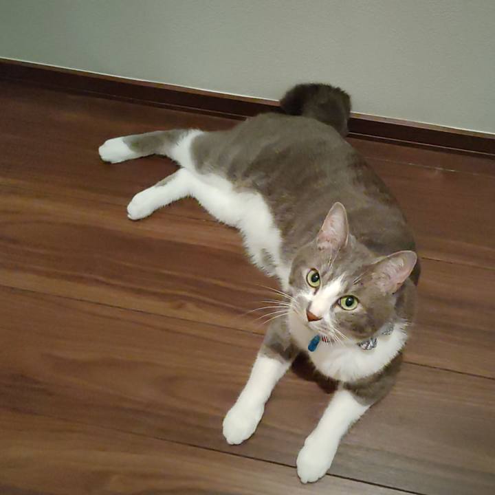 6cc80aae 33bf 4f29 a1af d5c259a0e4fd 1687872551700