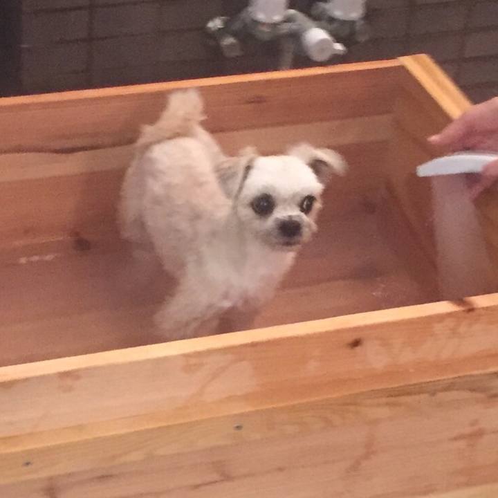 6cc8492f e74f 421e b82c 32d3f249b986 1556454396980