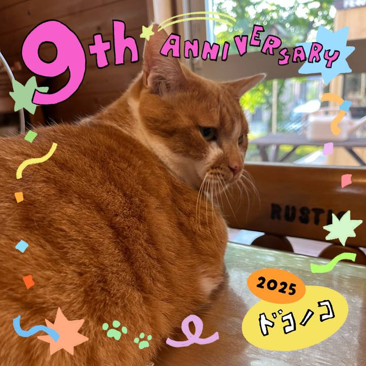 6cc8498c e2f7 49f1 9f17 1f5e80924375 1749501230349