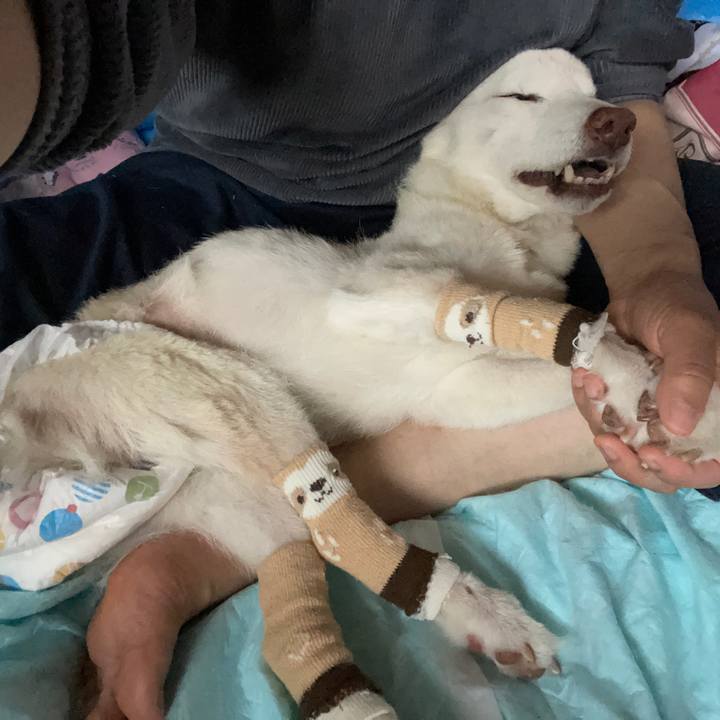 6cc854db 00ea 4683 a037 d43f99409c44 1680766118895