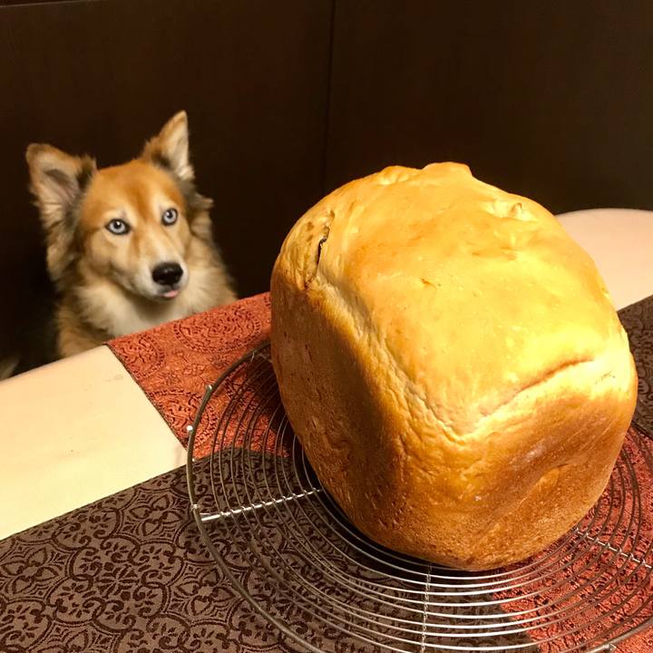 6cc8565d 9a5b 43ae 8d8d 10c413c32bf7 1540112413519