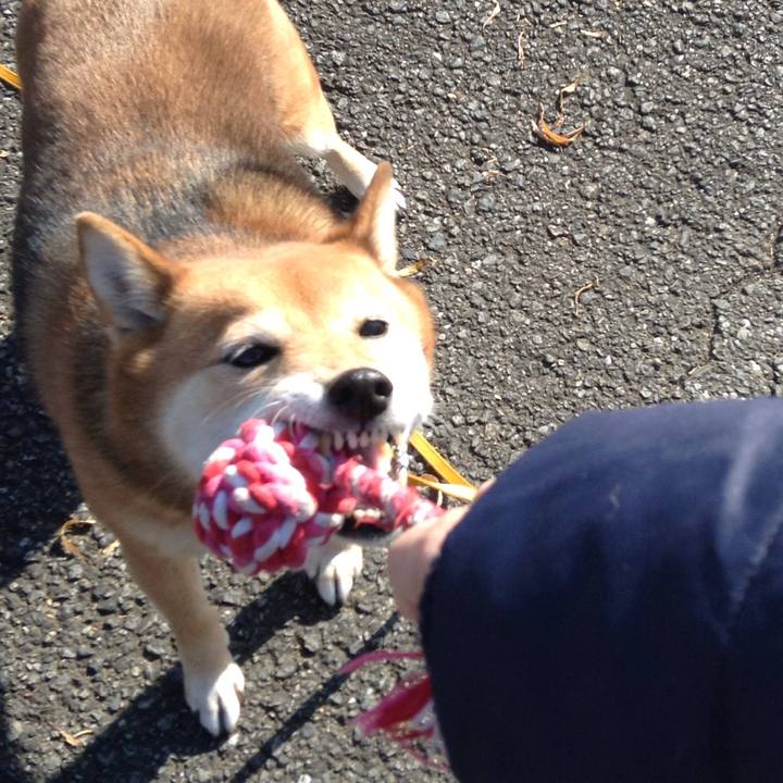 6cc8725e 21e9 4aad 89c3 4276f010006b 1512632252228