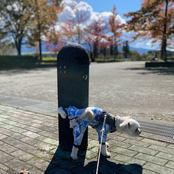 6cc893e7 9d21 41d8 a83b 1b6fc90ea971 1603602845167