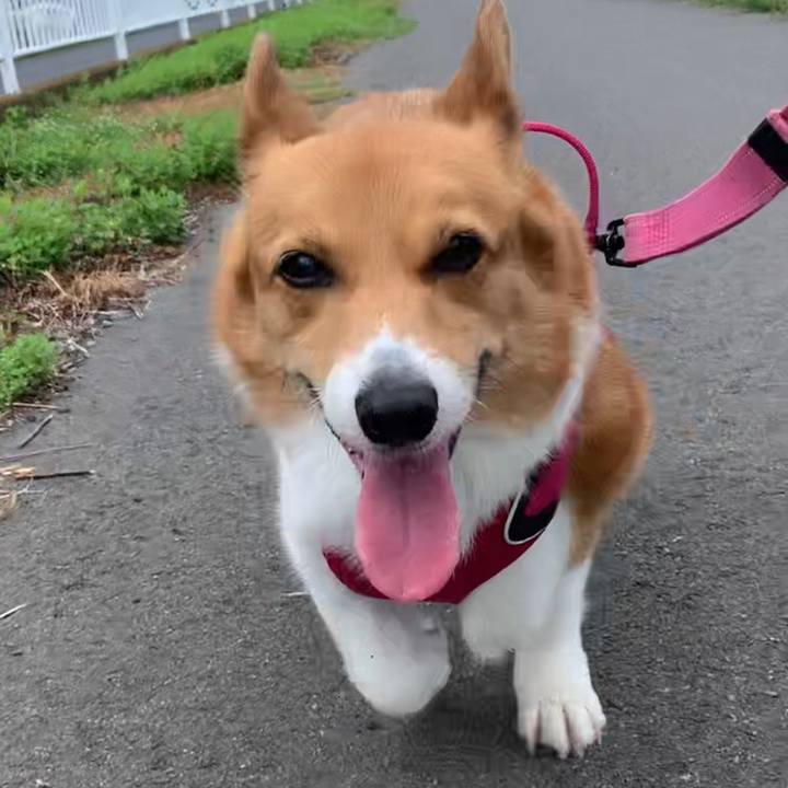 6cc8954a 3356 4741 9f8e a8c8ba60f6b4 1658794296248