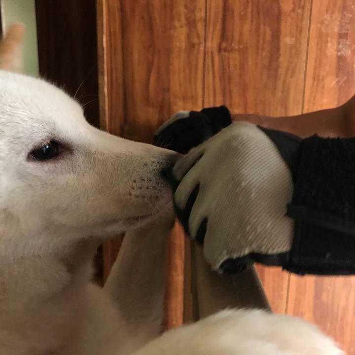 6cc8a180 0a69 4ef0 bf94 dd7c7e834aa8 1536395376163