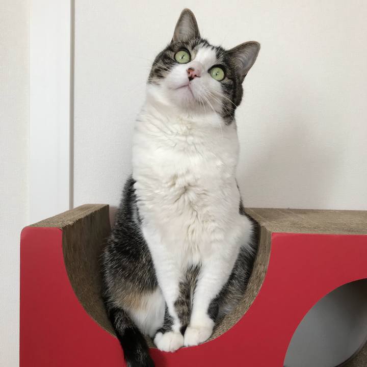 6cc8a81d ed5d 43e6 b59b 43691efcfdd4 1549762165336