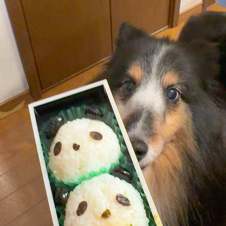 6cc8f02f 2bae 4b18 94a2 5889a30e5b38 1751217545115