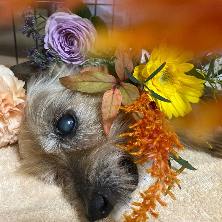 6cc925db 91da 4209 bcc9 38f2a2622c01 1699689269348