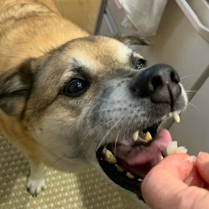 6cc93f44 8fc9 4ea5 8a3a 1e92b74ce3e8 1565517354062