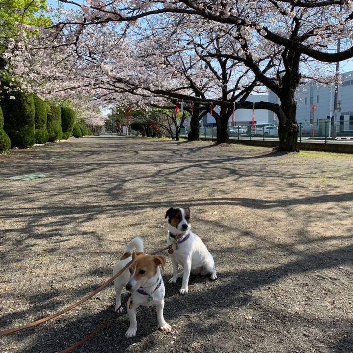 6cc94866 9040 41d2 8646 6d6fd4ecb29c 1586048282567