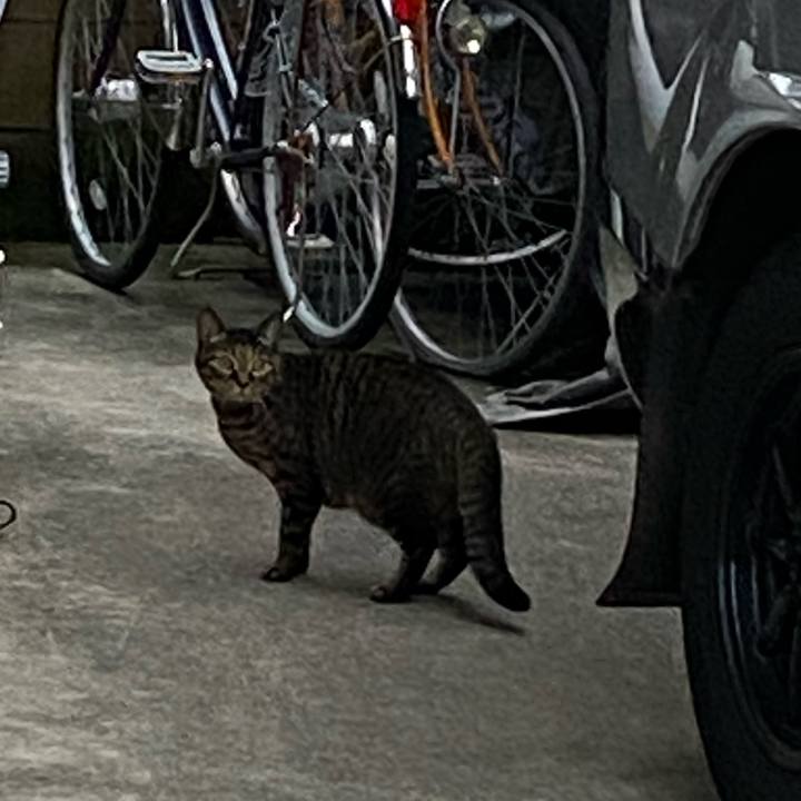 6cc9992b e7b6 4a67 8680 82b91120a454 1666515667811