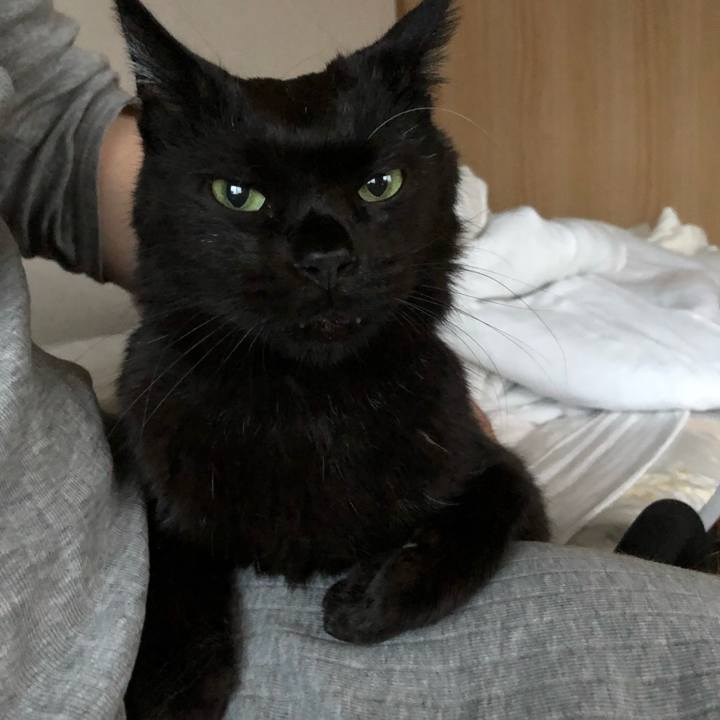 6cc9af36 467c 4649 8898 684585c69409 1596830110191