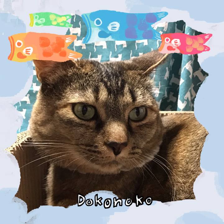 6cc9dfec 103a 4e00 b097 11ba4d3165d4 1749540178322