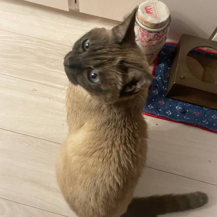 6cc9e955 b60b 44cb ac21 5b89eb7c74c2 1772362152653