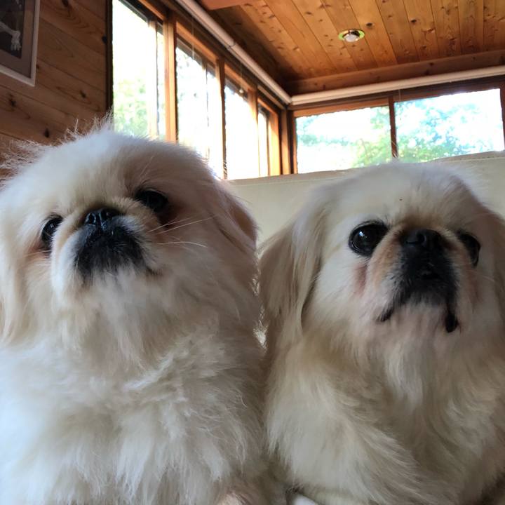 6cc9ec38 6515 4567 a0db 598366bec22b 1534122111449