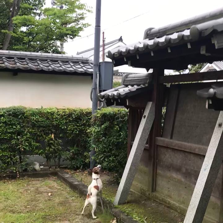 6cca13fc 22be 41ff 8d30 fa98f3968c8f 1529748559873