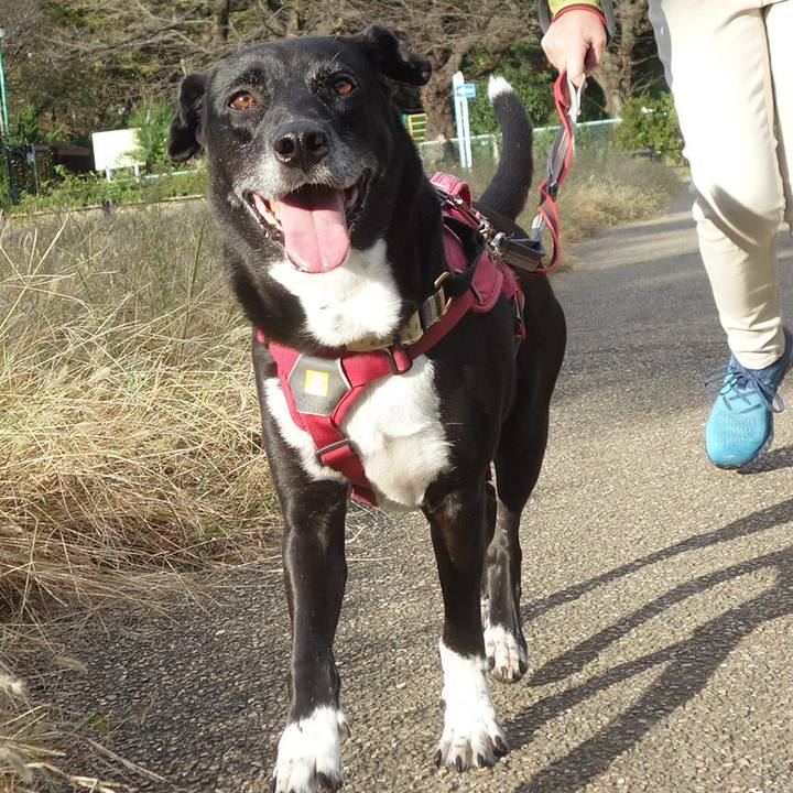 6cca2dbe 8511 4100 864a 27ea97d25e38 1698018780203