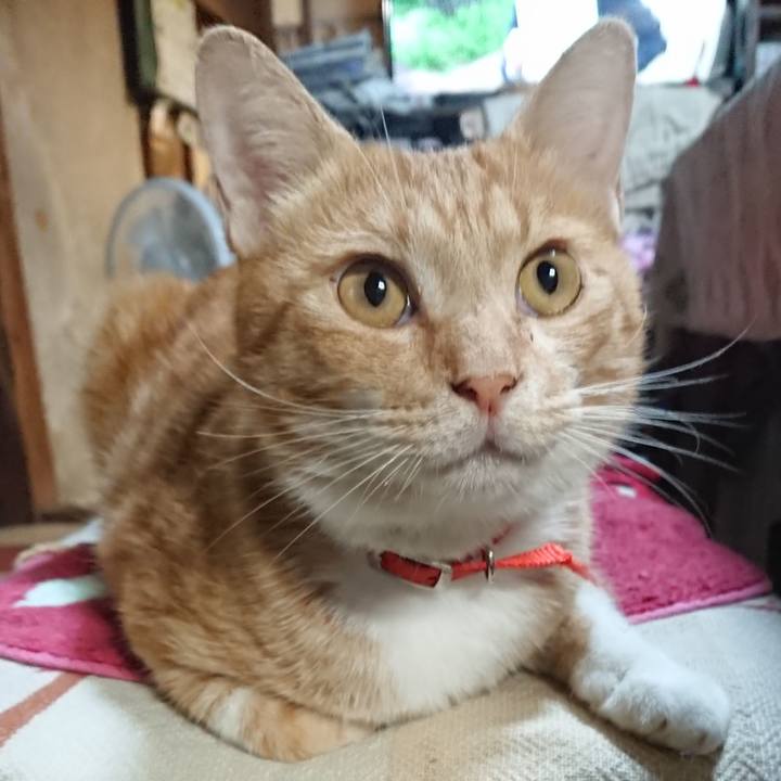 6cca4b7f 9708 4a70 a1a1 04ba5b4bcd28 1568717660522