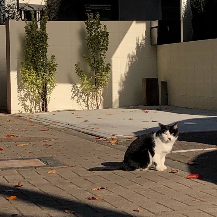 6cca5620 91d7 4f31 88f0 af3ab32408e5 1606145494068