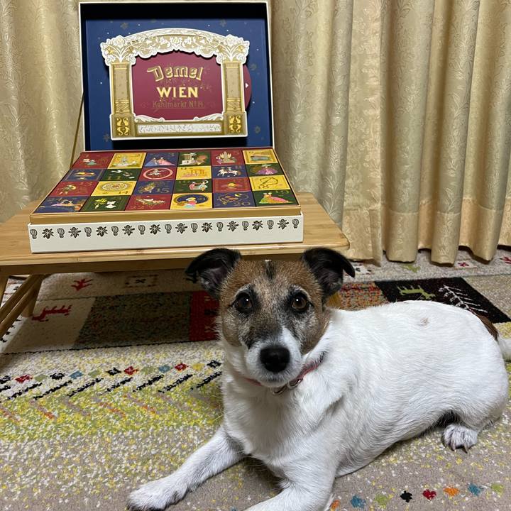 6cca9b41 2739 41c0 be66 02f3d38899e4 1701311397359