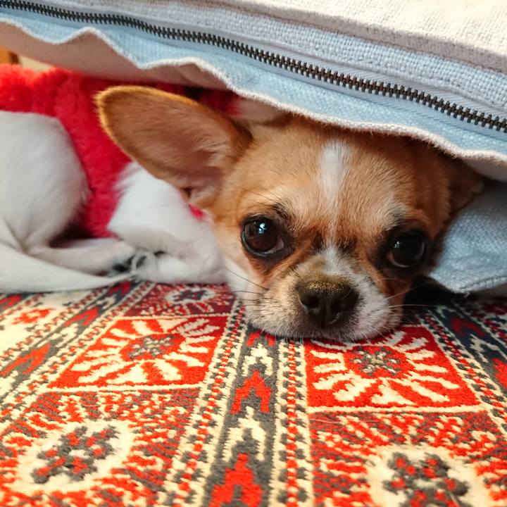 6ccaa055 b425 49f3 a703 75d166d5ad21 1549671803412