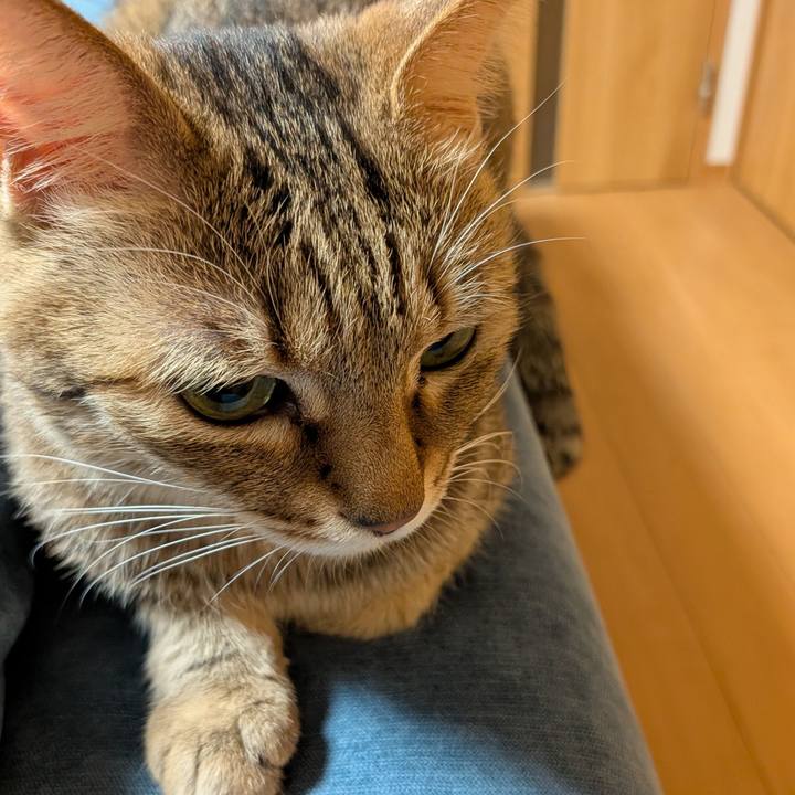 6ccaaad5 8588 4168 a47d 4063a23b9c09 1771021627033