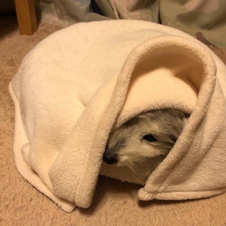 6ccacdc4 8cee 4148 808f def9798a7d77 1611321124683