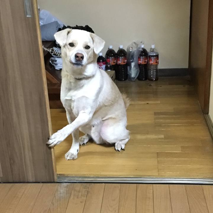 6ccad8db 4e23 448d b607 6f8cd2939120 1515367511387